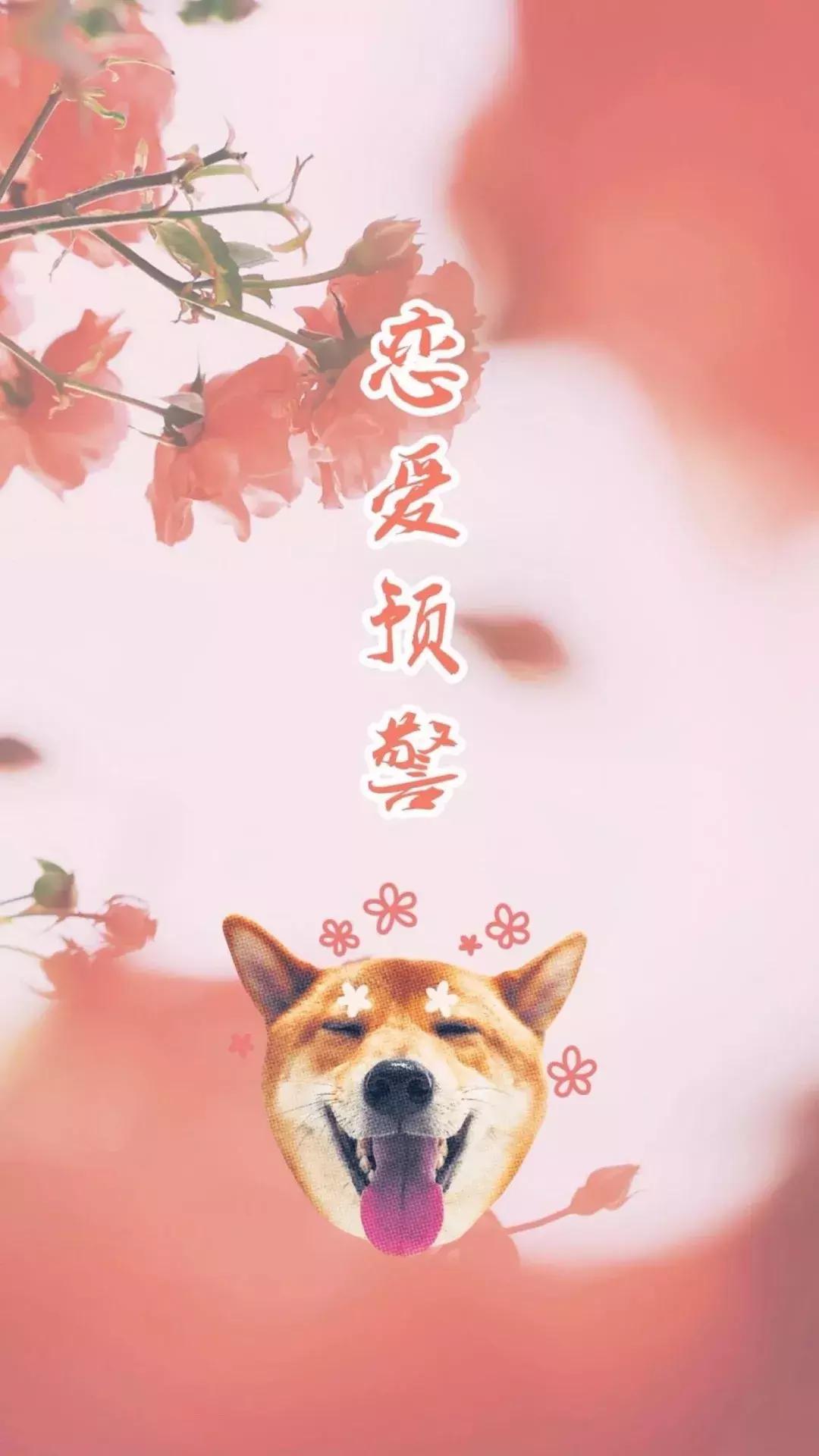 壁纸大合集动漫,壁纸合集动态