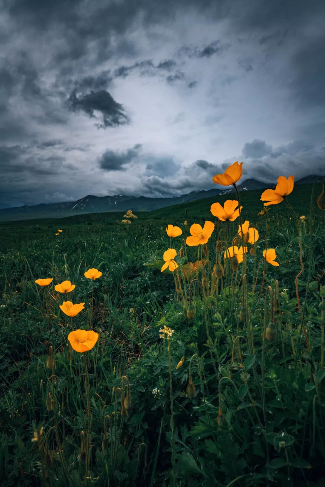 张张航拍,数百位摄影人拍的中国大好河山