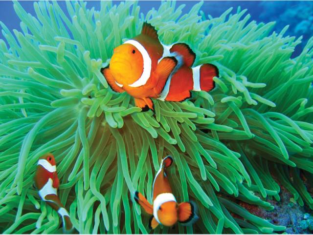 潜水的魅力有多可怕,从来没潜水的人能潜水吗