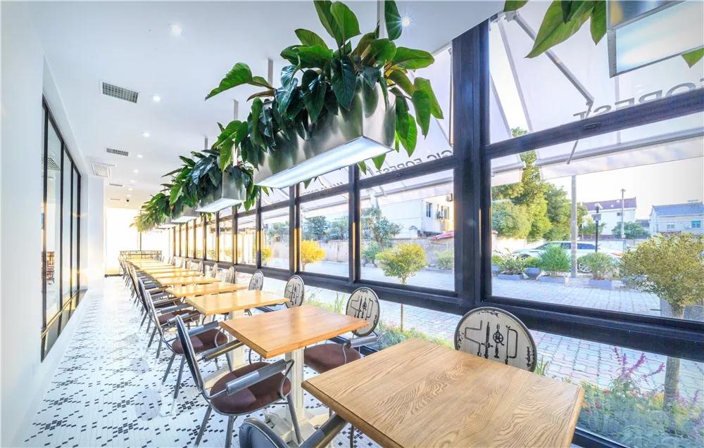 探秘!10000㎡打造世界烘焙商业新物种!!!(系列:魔法店铺)