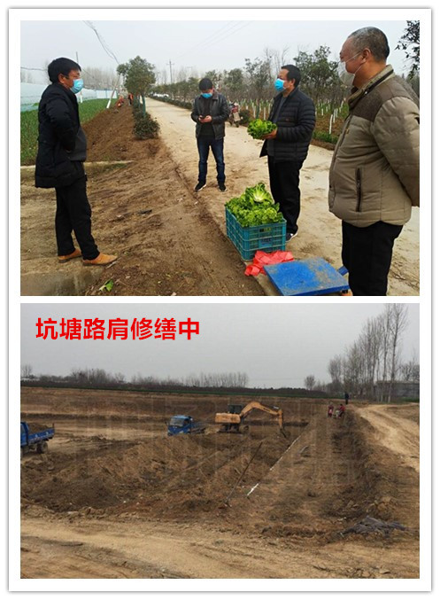 卧龙区青华镇：当好战疫复工先行者人大代表在行动