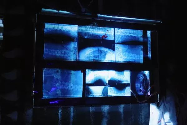 藤木病院南京旗舰店买票,藤木病院全称