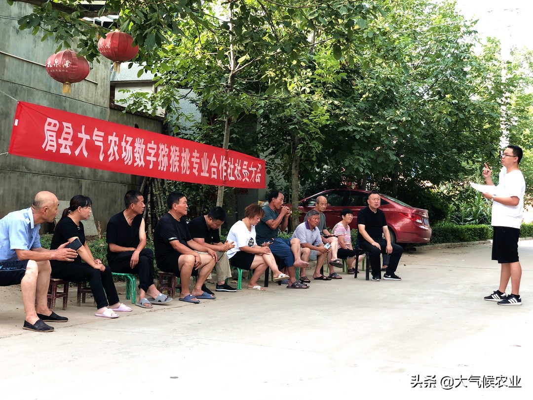 眉县猕猴桃合作社名单,眉县猕猴桃专业合作社