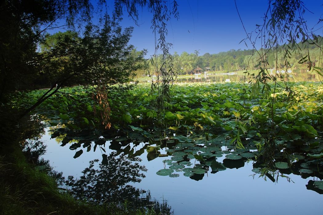 八字日干是癸水人性格,壬癸水庚辛金这样读可以吗