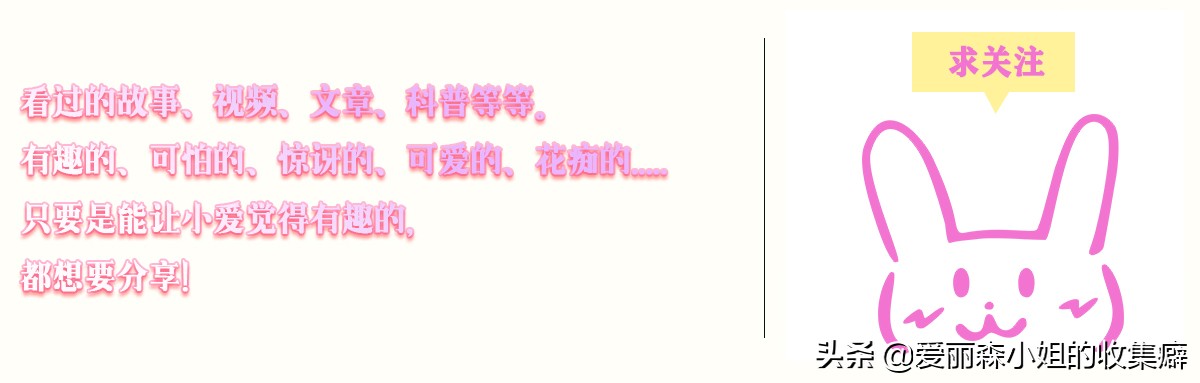 为什么我们会微笑?10个关于微笑袋鼠的萌萌秘密