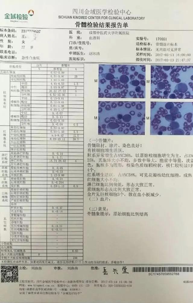 骨髓涂片中幼粒细胞17%是什么原因,骨髓涂片原始粒细胞正常值是多少