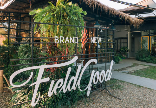 去清迈度假享受片刻的宁静,12月的清迈