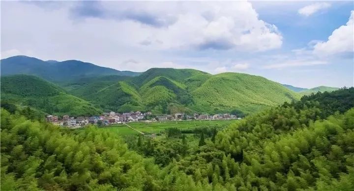 莫干山别具特色的3家民宿,莫干山景点民宿