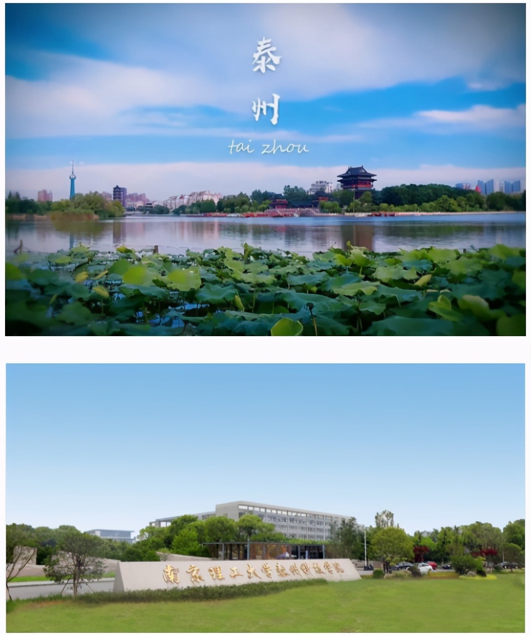 在南京理工大学泰州科技学院读书的“优体验”