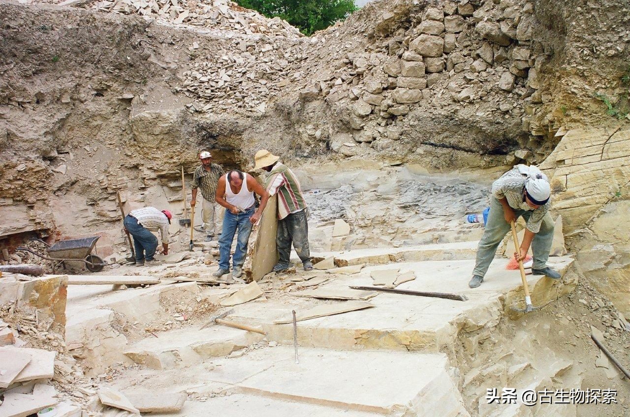 中国翼龙中东实战,中国翼龙直升飞机