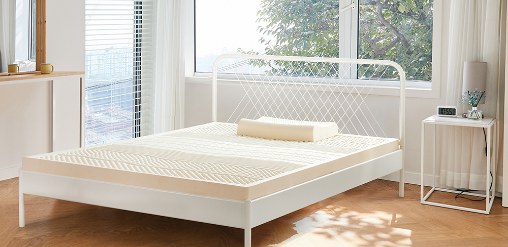 乳胶枕的4大谣言,乳胶枕的真实性