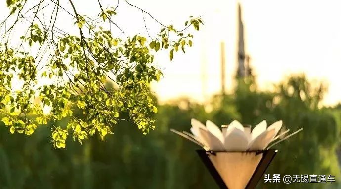 无锡夏天避暑的地方,无锡附近暑假避暑旅游好去处