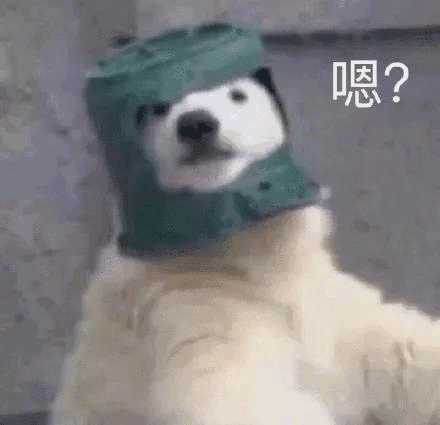 好看的免费英语学习网站,三个超好用的英语学习网站