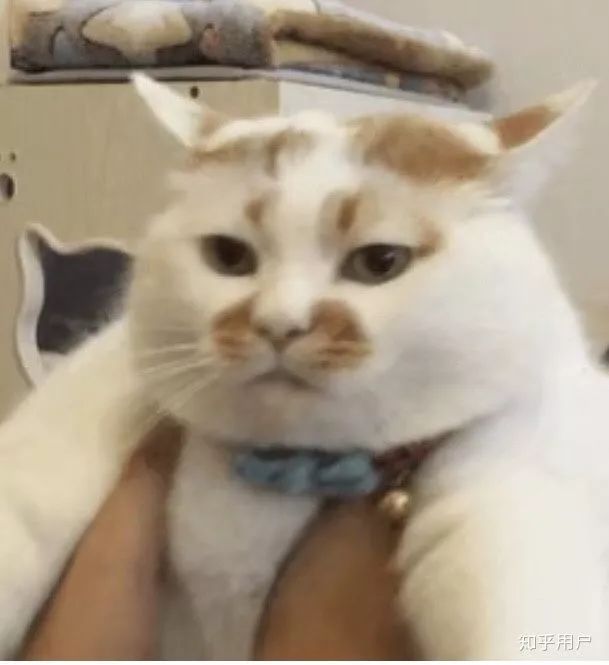 当代大学生生活费支出情况,大学生生活费差距