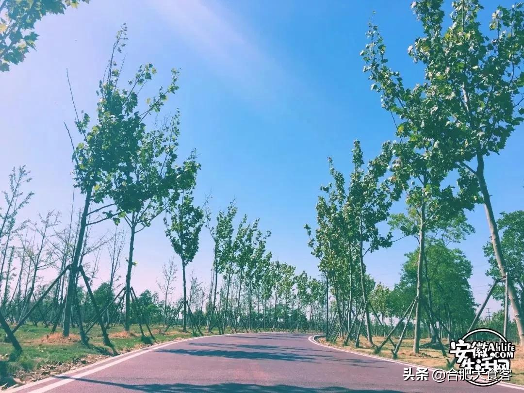 2020年，在这50个地方遇见不一样的合肥