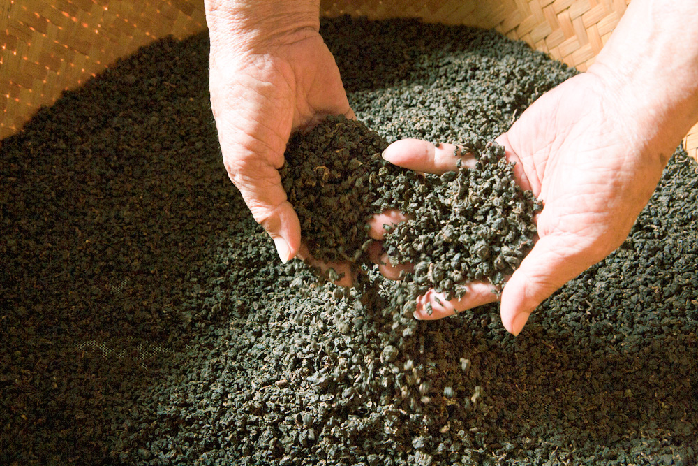 防坑指南，这十一款好茶闭眼挑