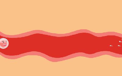 流产2次生育1次还能再怀孕吗,流产2次会终身不育吗