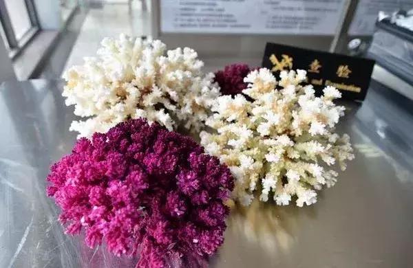 禁止携带入境的物品有什么,各国入境禁止携带物品清单