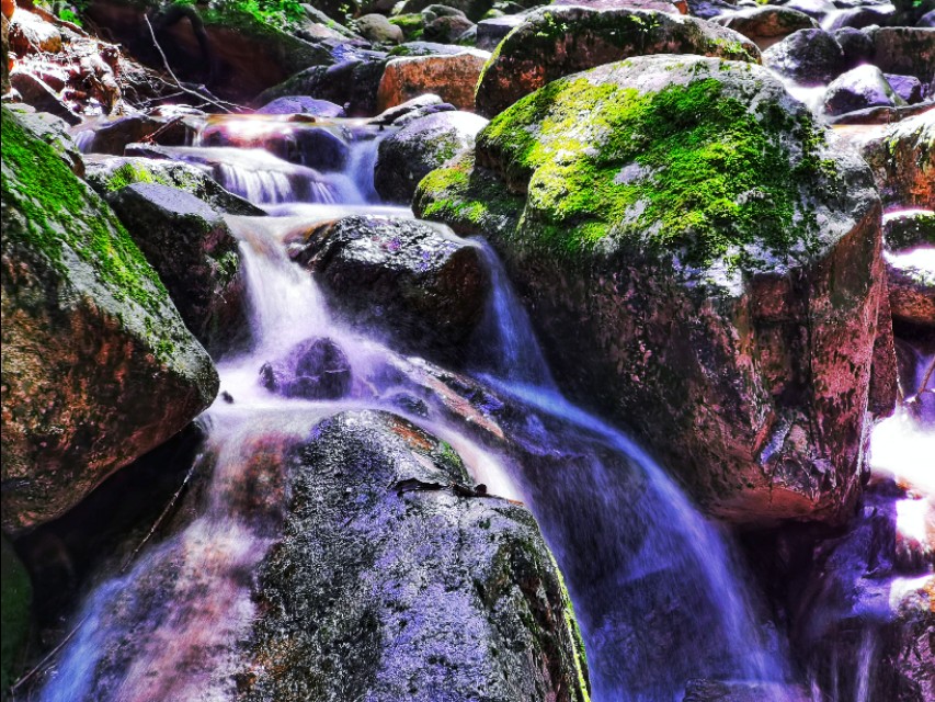 吃在驼梁，体验舌尖上的味道/郝贵云