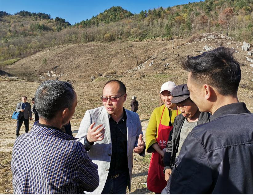 重庆市城口县鸡鸣乡金岩村,鸡鸣乡金岩村最新规划