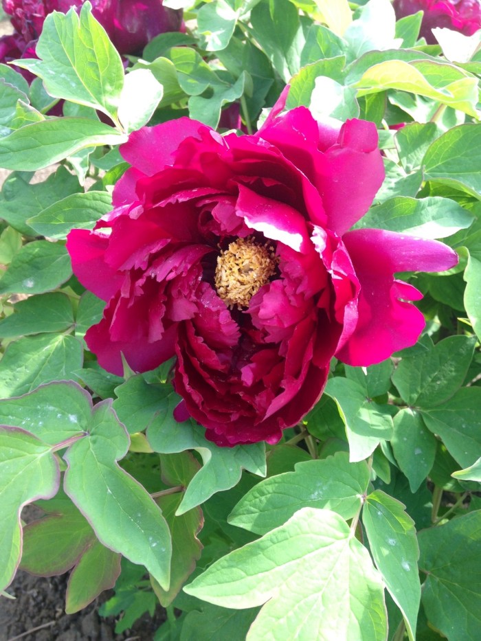 积极上进正能量简短格言短句,积极上进的正能量短句