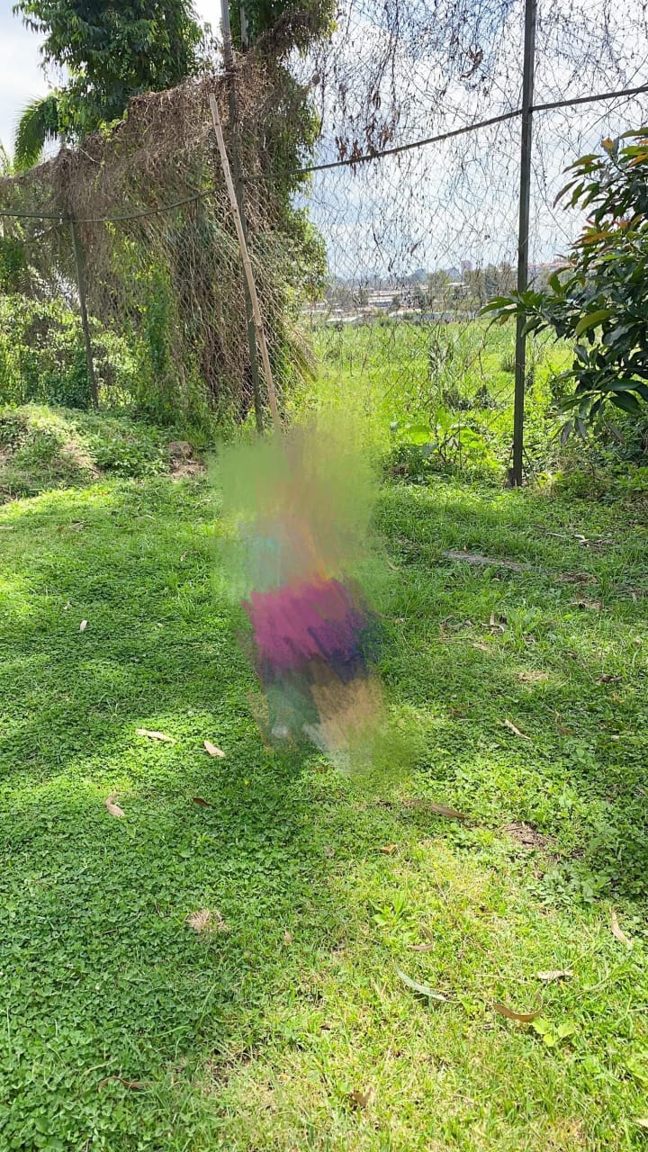 疫情下的肯尼亚内罗毕,肯尼亚内罗毕疫情怎样