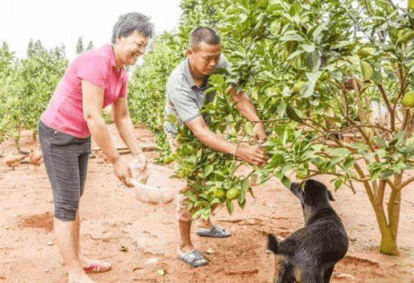 朴素！全红婵成为奥运冠军后仍穿25元T恤，使用国产千元手机
