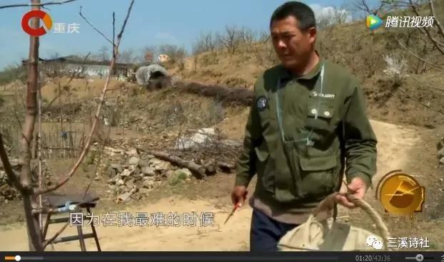 永不凋谢的玫瑰花,永不凋谢的玫瑰原唱