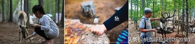 自驾游内蒙草原需要注意什么,带孩子去草原旅游必备物品