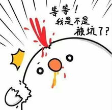 自己开淘宝店被骗,开淘宝店被骗经历