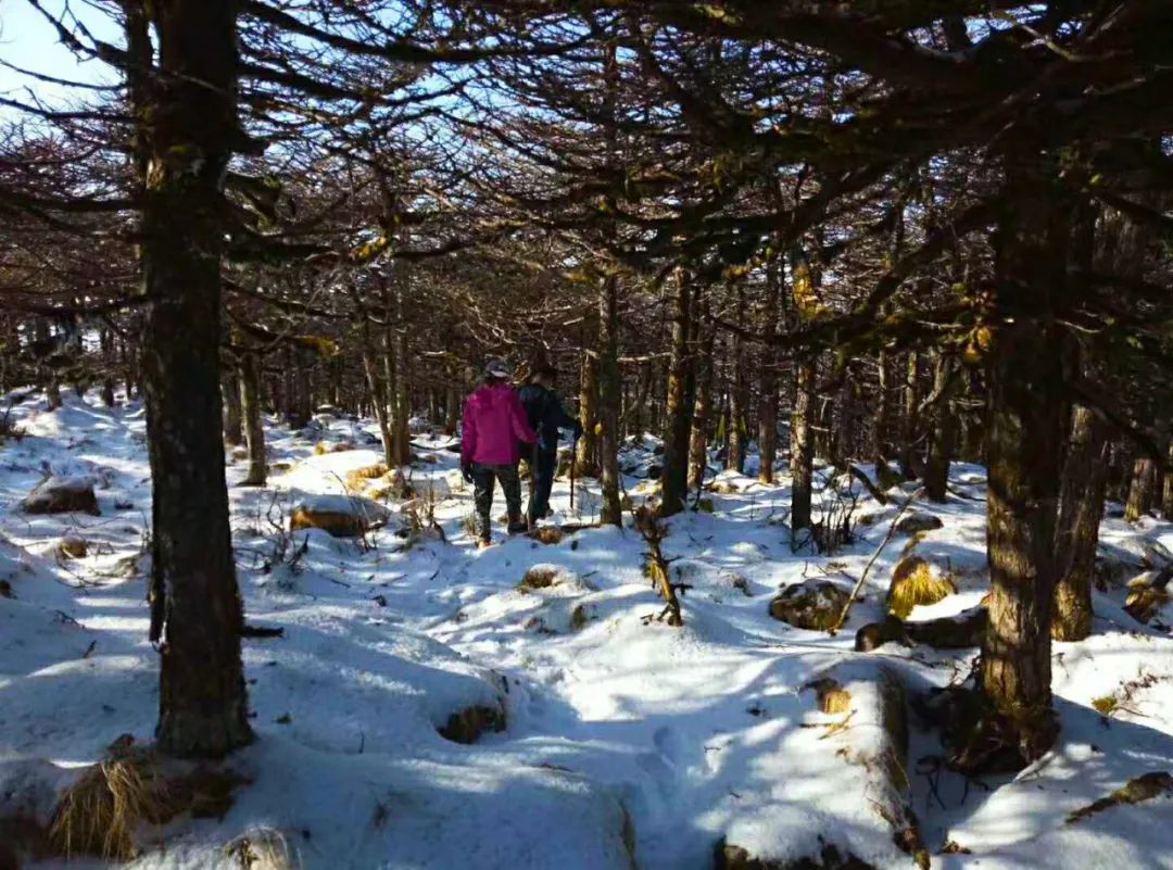 登秦岭之巅赏朱雀秋季美景,登秦岭之巅赏秦岭初秋之美