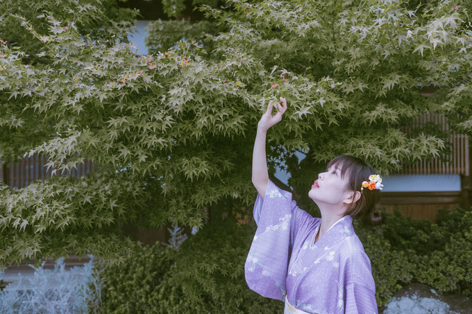 伏见稻荷大社怎么去清水寺,伏见稻荷大社到清水寺远吗