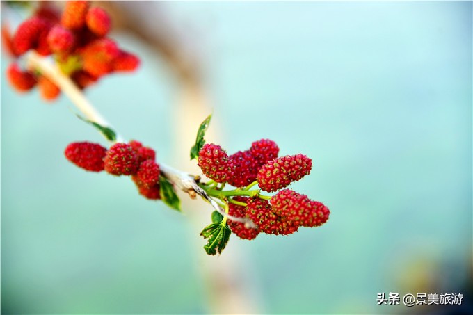 南海渔耕粤韵文化园,广东渔耕文化旅游园