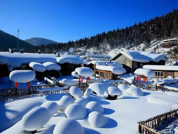 开眼｜为你揭秘“火华社长”代言的“冬之景”！