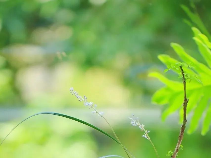 这160句国学经典全都是精华,这20句俗话说尽了人生