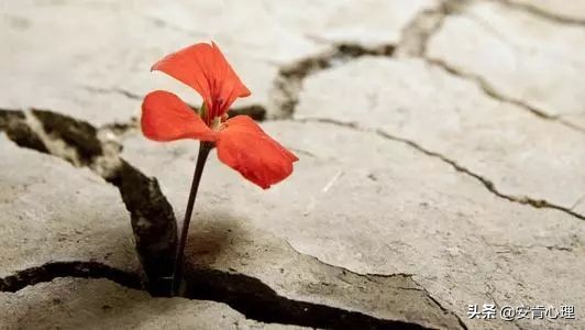 警惕疫情的次生危机,新冠肺炎ptsd