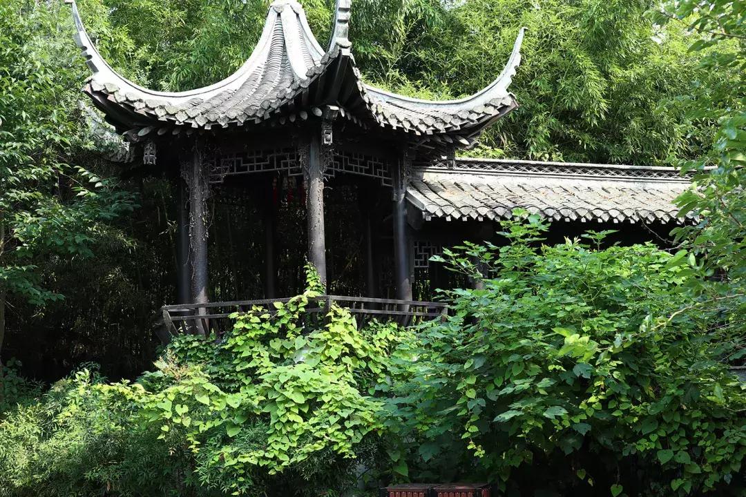 吴鞠通中医馆还看病吗,吴鞠通中医研究院看不孕怎么样