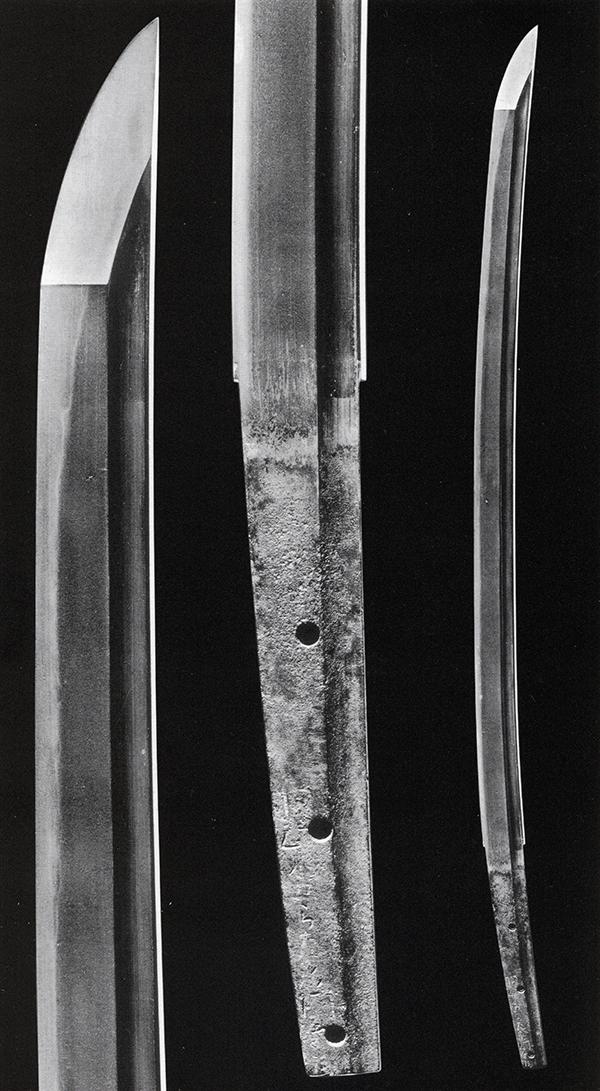 仁王大太刀武功,仁王太刀图片大全