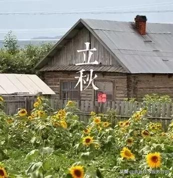 农事节气谚语,农事歌大全