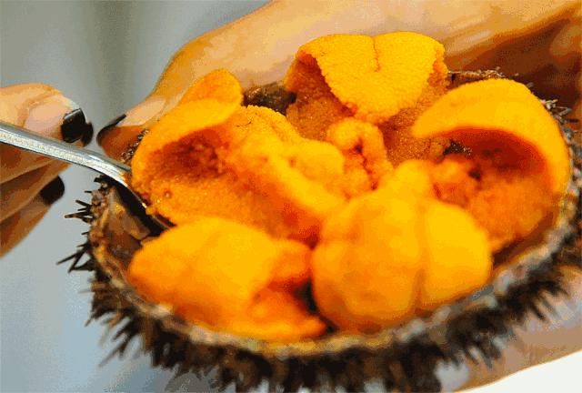 颐海国际海鲜自助海胆,北京海鲜自助海胆鳌虾不限量