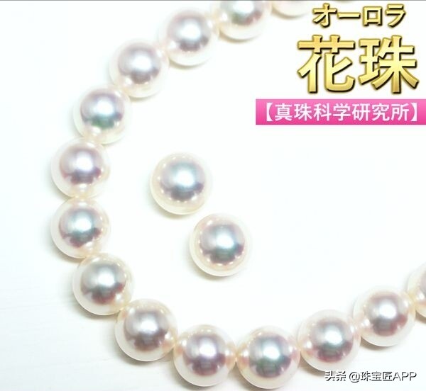 akoya天女珠和花珠哪个更好,天女珠和akoya海水珠的区别