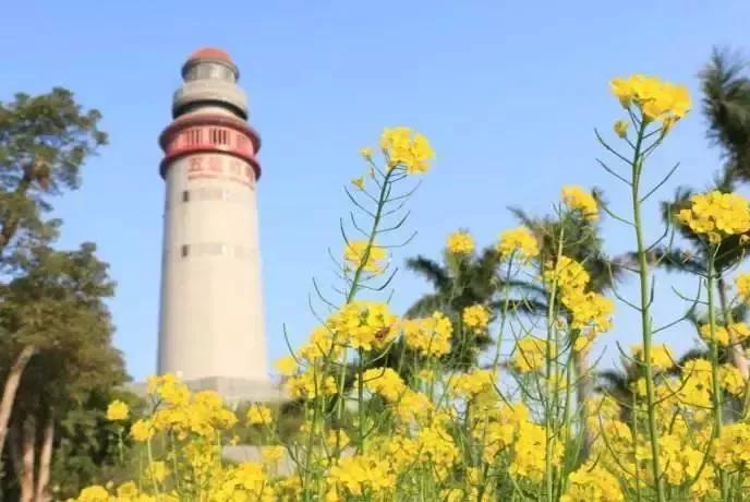 厦门旅拍攻略路线推荐一下,快来get旅游照怎么拍