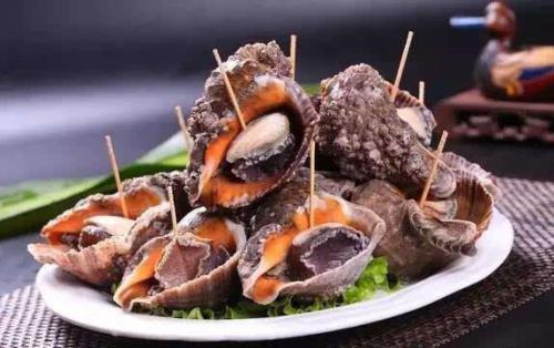 海螺的尾部到底是黄还是肝,海螺的尾部是黑色怎么回事