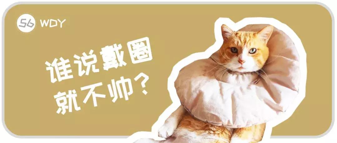 猫癣传染人如何才能治好,猫癣反复发作该怎么治疗