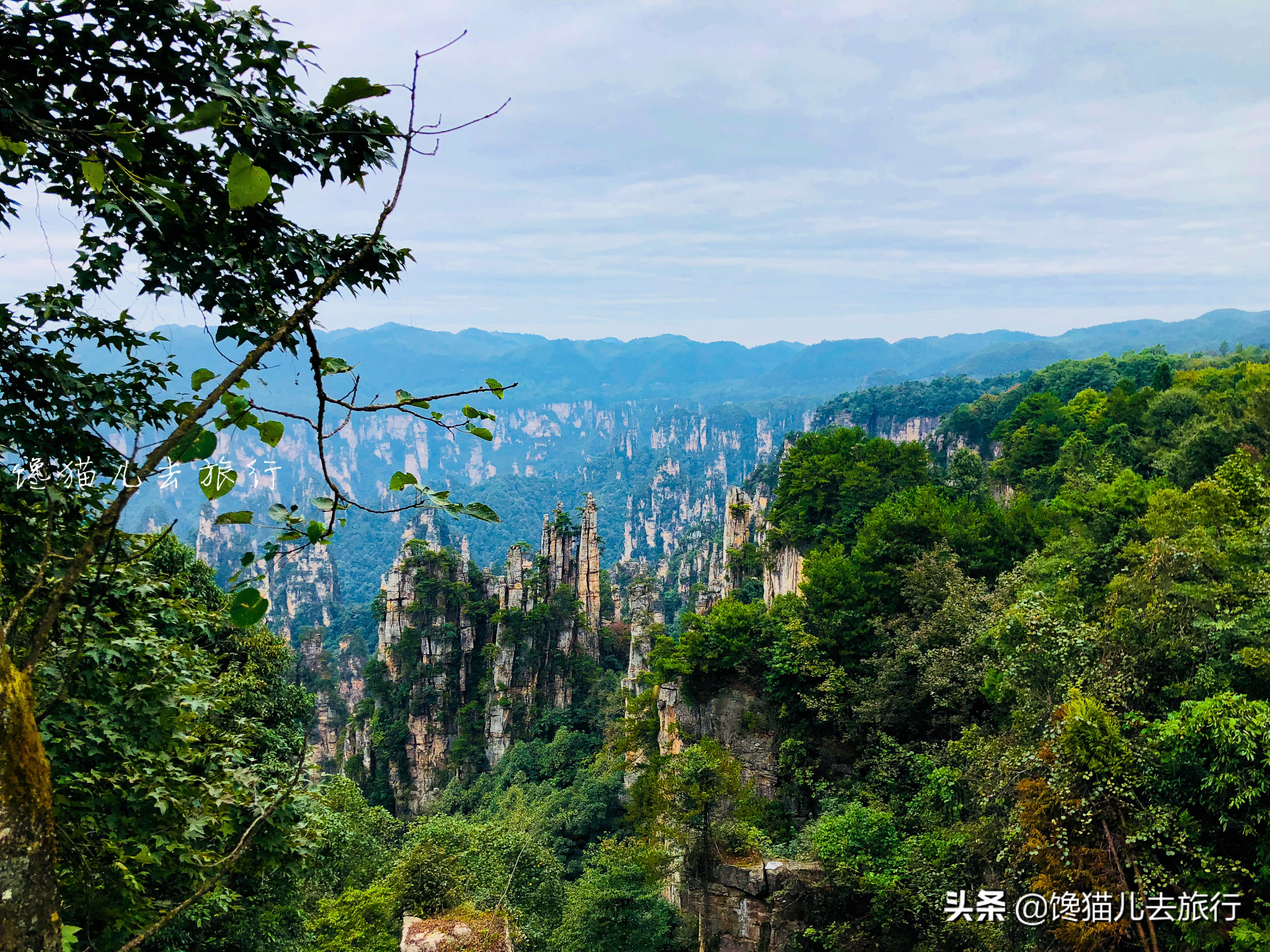 张家界旅游计划行程表模板,暑假旅游张家界攻略路线图简单版