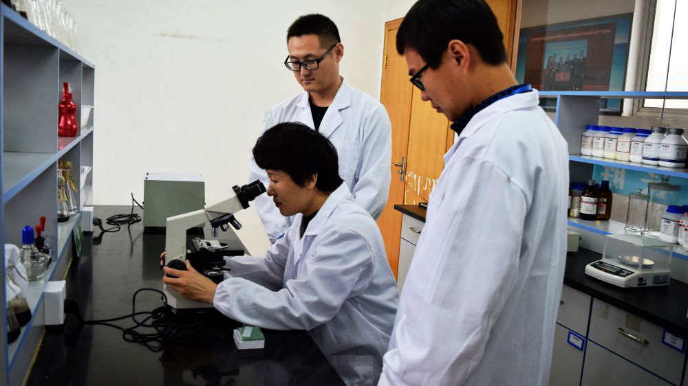 秦皇岛长胜科技怎么赚钱,秦皇岛长胜营养科技有限公司