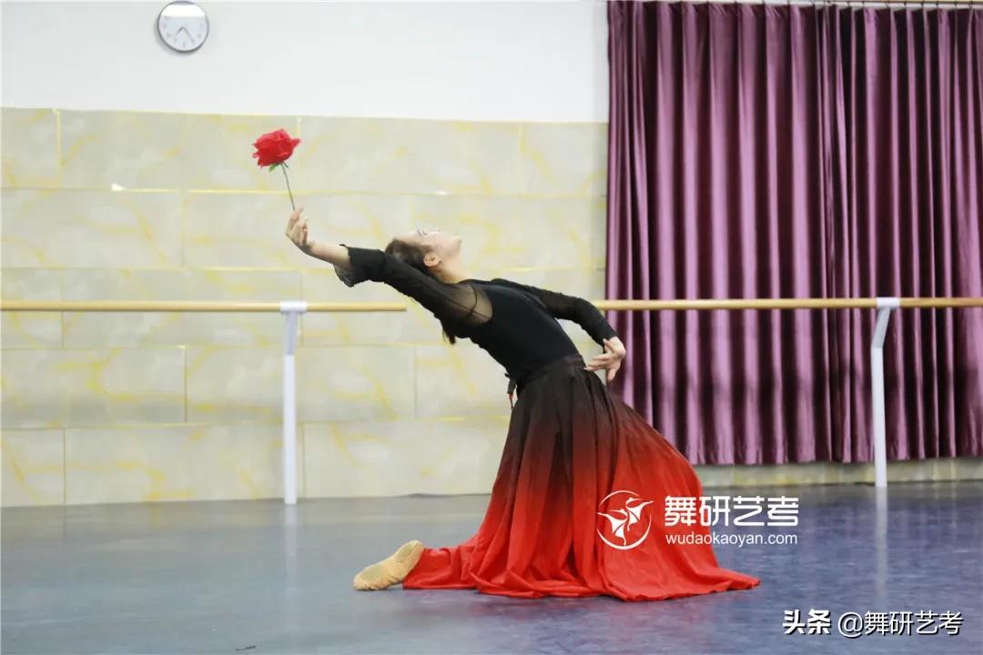 舞蹈入门20个基本动作名字,舞蹈新手应该学会的舞蹈