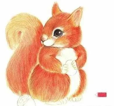 彩铅可爱的小松鼠,彩铅画可爱动物飞鼠
