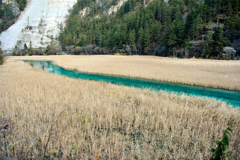 置身于童话中的九寨沟,畅游人间仙境黄龙九寨沟七日游