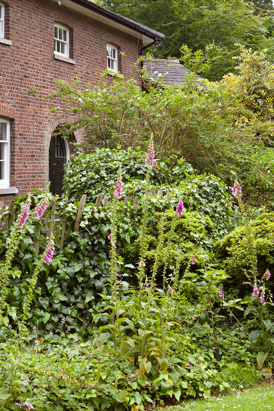 伦敦风格花园,伦敦联排别墅平面图